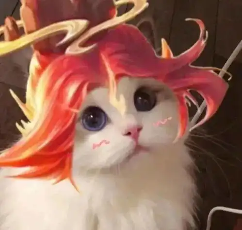 王者猫咪头像大全