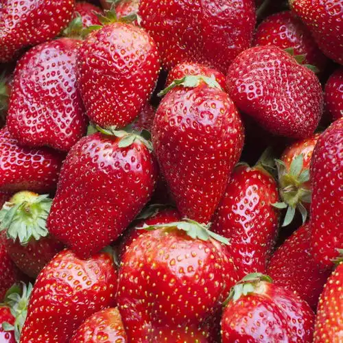 当心吃了没洗的草莓,安徽两名儿童感染诺如病毒