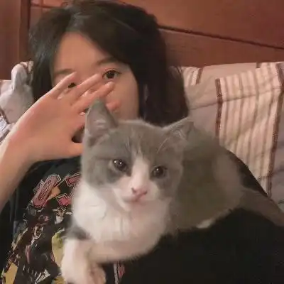 我们分手吧下一句应该接什么