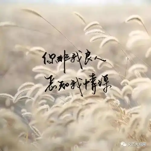 语录岁月极美,在于它必然的流逝