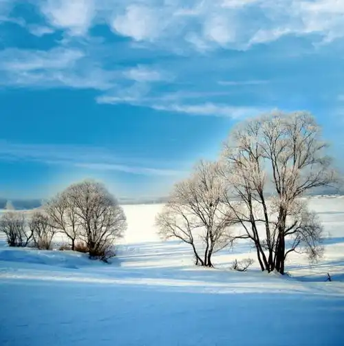 1.10期货各品种的行情分析早知道