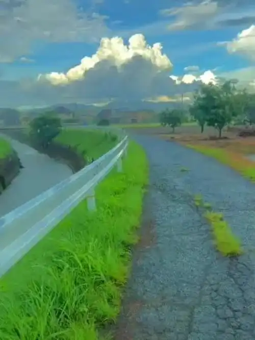 治愈系头像风景唯美宫崎
