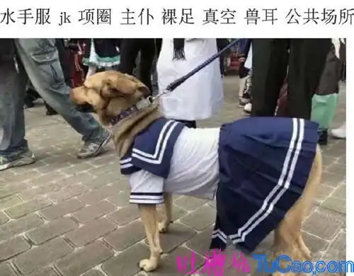 吐槽坑最新爆笑笑话搞笑图片神吐槽20171016