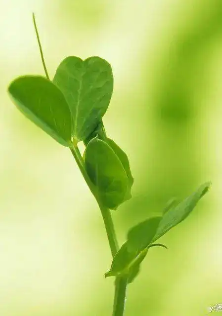 sufe新媒体ps培训第三期解锁更多创作技能