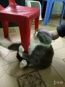 萝莉身后被注入大量黑色液体囧图妹子的纹身真好看