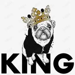 穿衣服戴皇冠的小狗素材图片免费下载高清png千库网图片编号10814563