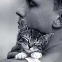 动漫猫咪头像男生猫咪