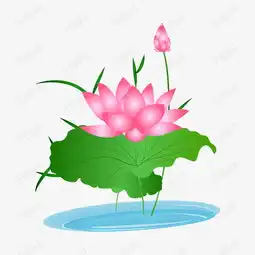 矢量卡通粉色莲花素材图片免费下载高清psd千库网图片编号11907064