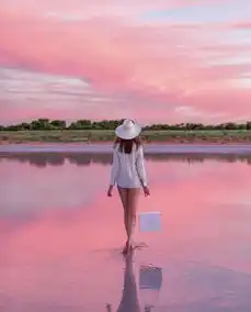 少女心的澳洲粉红湖,已经消失一个了,再不去就晚了