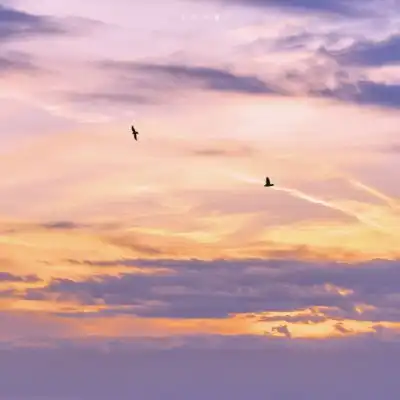 治愈系头像风景唯美坚强