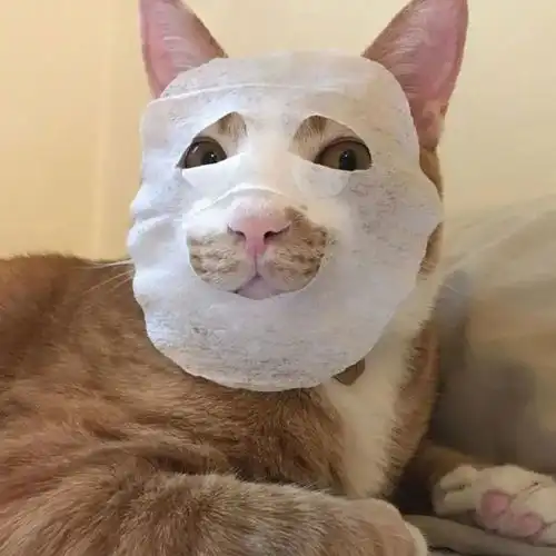 背景图朋友圈绝美的封面背景图