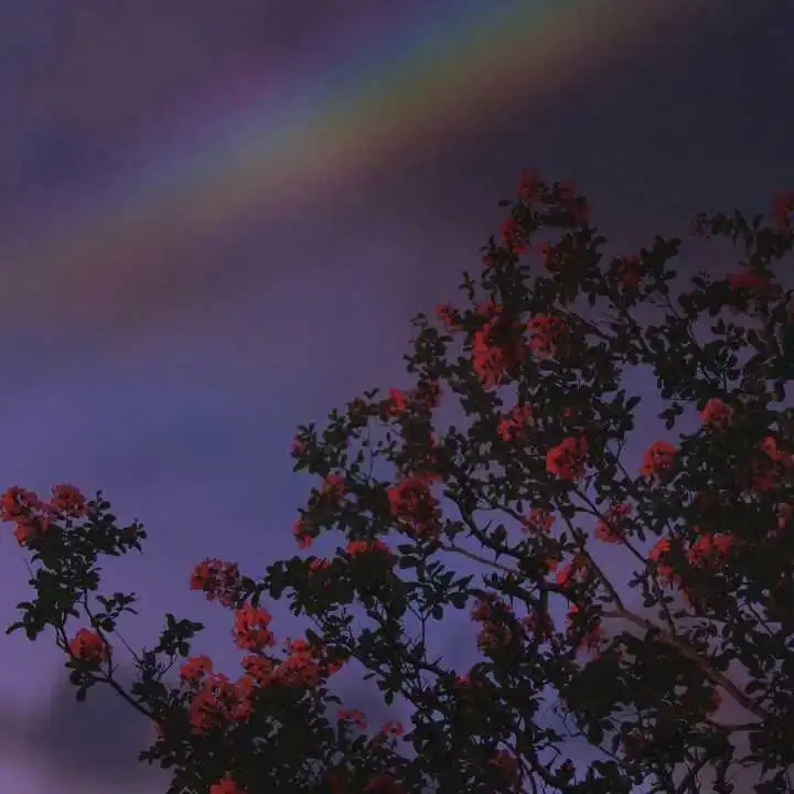 白云朵朵的想法我爱了