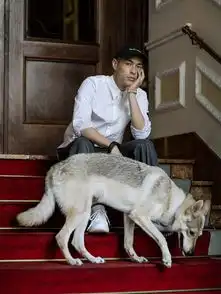 35岁杨祐宁,西装配凉鞋的时尚,网友变身狼系少年