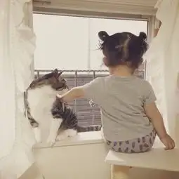 绝对治愈系照片孩子与猫咪的日常生活