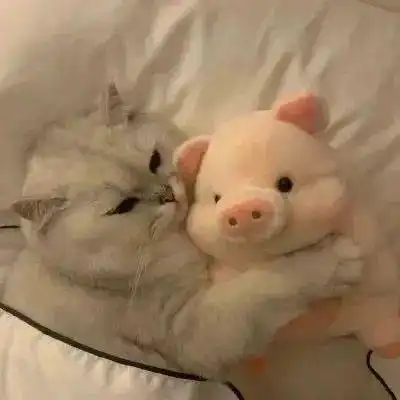 情侣头像相互主动,一直被爱