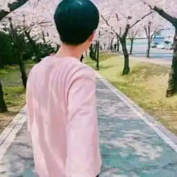 网红梗网红怎么红的百田网红圈