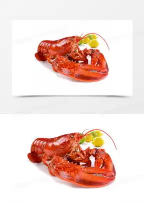 锦绣大龙虾图片大全高清