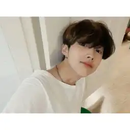 堆糖,美好生活研究所