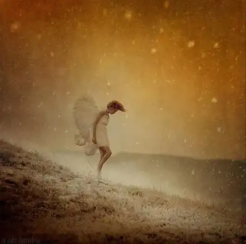 七非先生答疑解惑就当自己死了,真正意思是什么