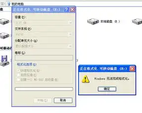 你好我用电脑店制做u盘启动盘制作工具后u盘4g存东西也存不进去了格式化也格不了,电脑店初始化也没初始不