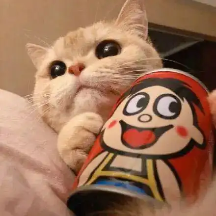 猫系头像双人情侣头像