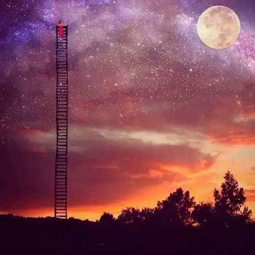 走好自己的路迈好自己的步