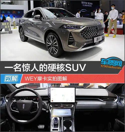 一名惊人的硬核suvwey摩卡实拍图解