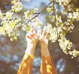 龙南去香港做验胎儿男女谐富科技