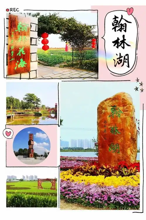 如烟似纱,仙气十足金秋里梦幻的粉色云雾来袭,攻占你的少女心