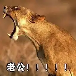 敢不敢问你男朋友,他眼里的你是什么动物系女友