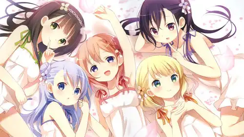 tvt体育官方入口