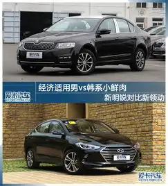 经济适用男vs韩系小鲜肉明锐对比领动