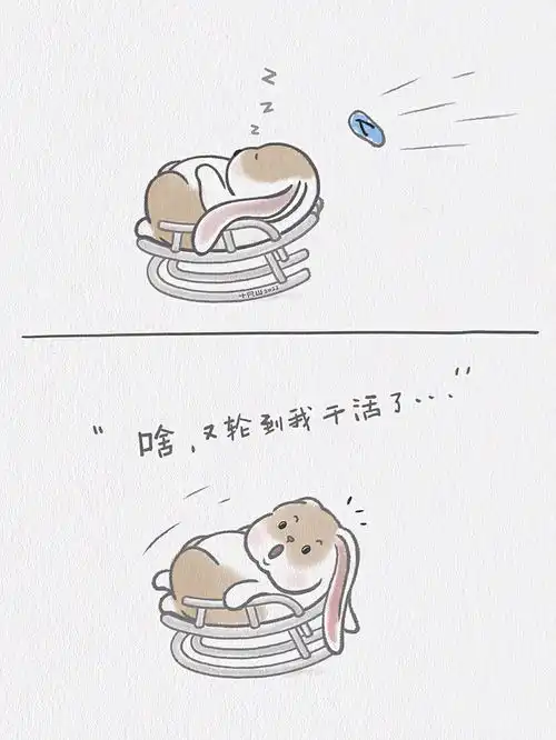 去年跨年爬墙虎,今年跨年爬墙兔来啦