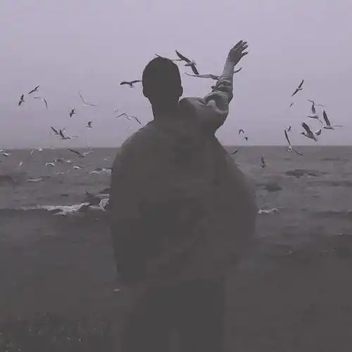 情头丨情侣头像