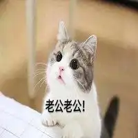 老公不见了表情包微信头像图片大全