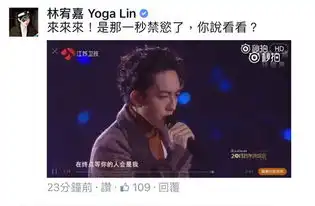 林宥嘉不满被指禁欲系标签查明真相后改简介