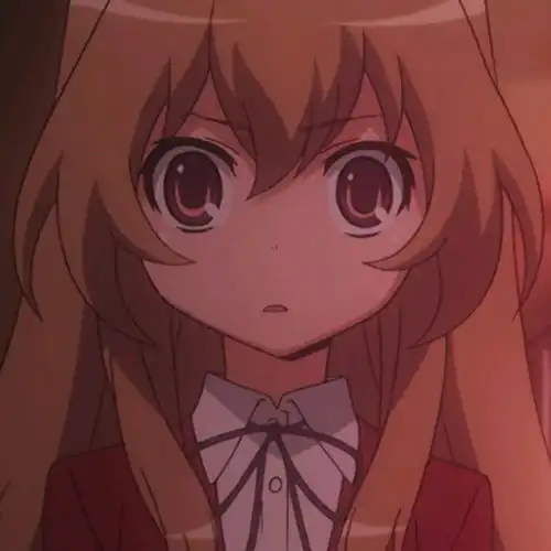 龙与虎逢坂大河自截图