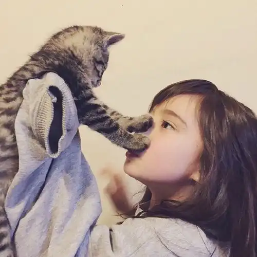 对西瓜视频,可能我毫无办法,但我可以不挣他的钱acfun弹幕视频网认真你就输啦ω