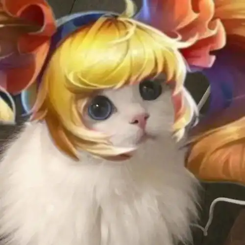王者荣耀猫头第4期女神团喵咪接头头像,这么可爱的猫从哪里来的