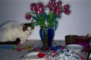 展览荒木经惟花幽