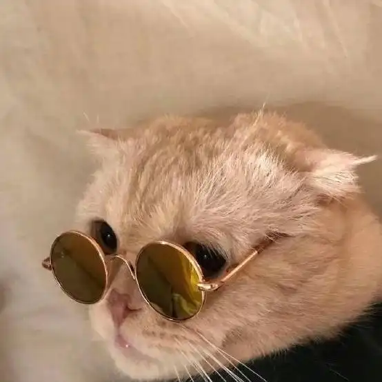 应用统计硕士论文题目精选