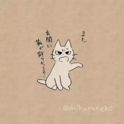 一组卡通可爱猫咪头像日本画师