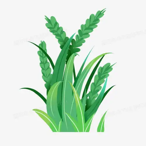 原创卡通绿色植物小麦农作物png图片素材免费下载绿色植物png20002000像素熊猫办公