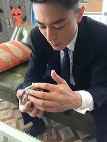 不光颜值要够还要美手跟上节奏吴亦凡胡歌王凯苏志燮霍建华鹿晗