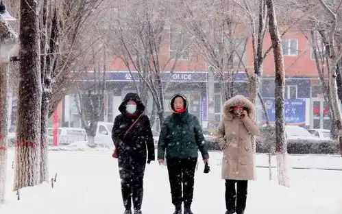 暖脊难挡北极涡旋小股渗透,三九大回暖背后,北极涡旋已在逼近