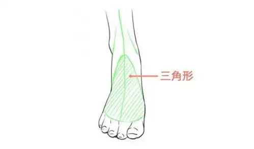 动漫插画人物脚部的画法详解足部的结构展示与绘画技巧简单入手