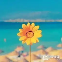 湛江一个清净小城的跨年之旅