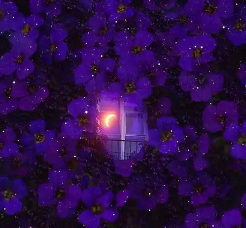 唯美干净的治愈系句子,句句温暖,治愈你的不开心