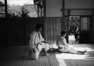 高贵而静穆的克莱因蓝