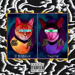 猫系男孩王晋桢高音质在线试听猫系男孩歌词歌曲下载酷狗音乐